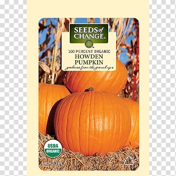 Pumpkin Winter squash Organic certification Organic food Thanksgiving, pumpkin seeds transparent background PNG clipart