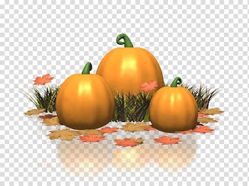 Pumpkin Winter squash Vegetarian cuisine Gourd Calabaza, pumpkin transparent background PNG clipart