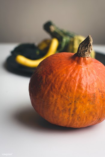 Pumpkins | Free public domain photo - 448003