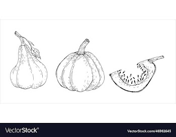pumpkins sketch set hand drawn engraving