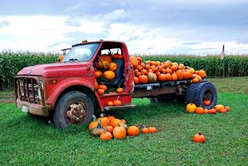 pumpkintruck.jpg