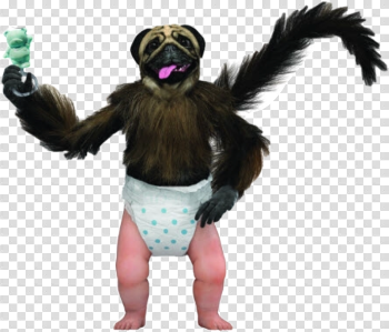 pupp monkey baby puppymonkeybaby freetoedit...