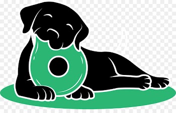 Puppy Dog breed Purina Rolls GR Curious - puppy 