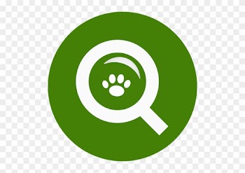 Puppy Dog Word Search - Png Instagram Logo Green