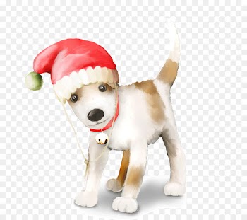 Puppy French Bulldog Samoyed dog German Spitz Klein - perfect pups 
