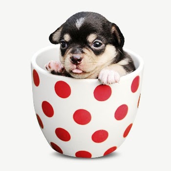 puppy in polka dot mug | Free PSD - rawpixel