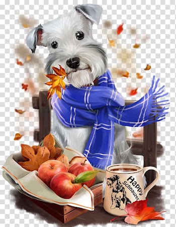 Puppy Miniature Schnauzer Dachshund Yorkshire Terrier Beagle, puppy transparent background PNG clipart