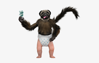 Puppy Monkey Baby Png - Puppy Monkey Baby Transparent PNG ...