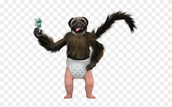 Puppy Monkey Baby Png, Transparent Png (#2723446), Free Download ...