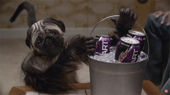 puppy-monkey-baby - quench