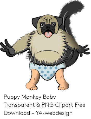 Puppy Monkey Baby Transparent & PNG Clipart Free Download - YA ...
