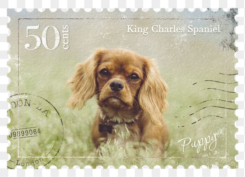Puppy png post stamp sticker, | Free PNG - rawpixel