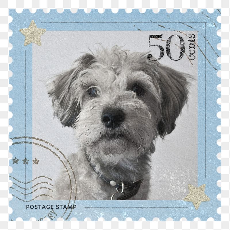 Puppy png post stamp sticker, | Free PNG - rawpixel