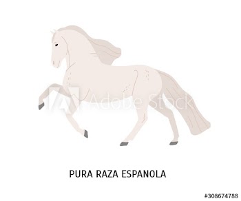 Pura Raza Espanola flat vector illustration