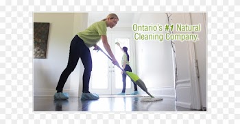 Pureclean's® Professional, Bonded Cleaners Use Natural, - Pureclean® Natural Home And Business Cleaning