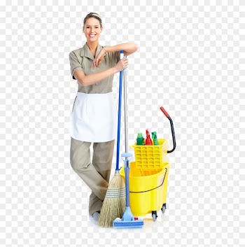 Purify Pros Nj Cleaning Services - Cleaning Girl
