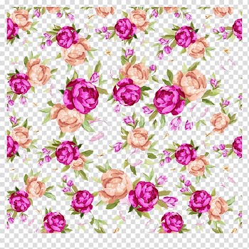 Purple and beige flower illustration, Garden roses Drawing, Watercolor flowers transparent background PNG clipart