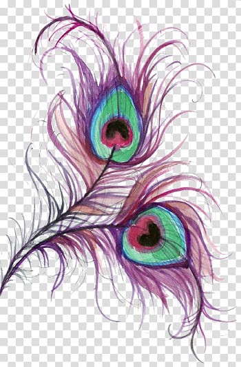 Purple and green peacock feathers illustration, Peafowl Drawing Feather Color , Purple feathers transparent background PNG clipart