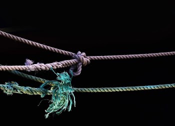 purple and green ropes