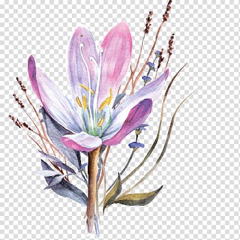 Purple and pink lily illustration, Floral design Watercolor painting Gift Flower, Watercolor flowers transparent background PNG clipart