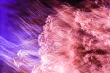 purple and pink smokes wallpaper