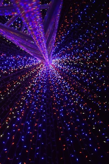 purple and red string lights