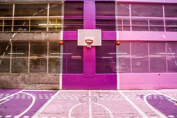 purple and white basketball court