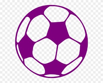 Purple And White Soccer Ball