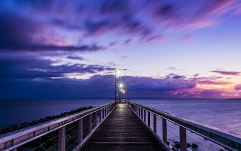 Purple and White Wooden House