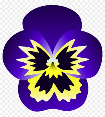 Purple And Yellow Pansy Flower - Pansy Flower Clipart