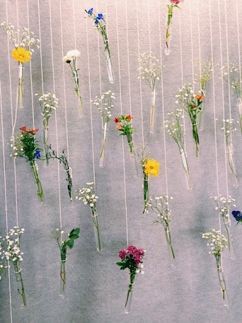 Purple and Yellow Petaled Flowers