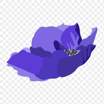 Purple anemone png sticker, aesthetic | Free PNG - rawpixel