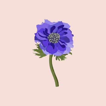 Purple anemone sticker, aesthetic flower | Free Vector Illustration - rawpixel