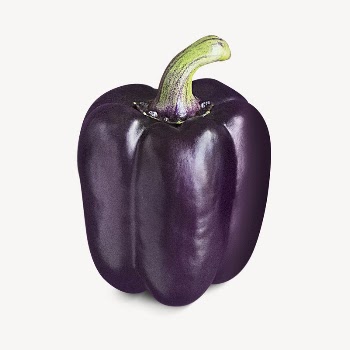 Purple bell pepper collage element | Free PSD - rawpixel