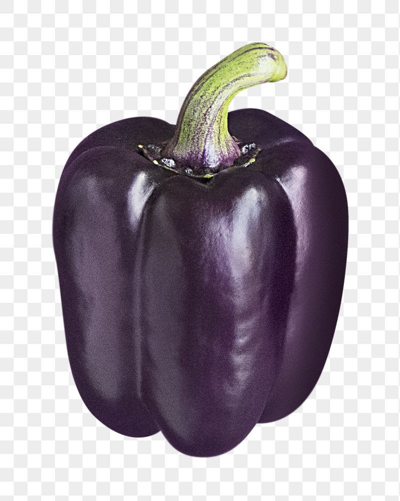 Purple bell pepper png sticker, | Free PNG - rawpixel
