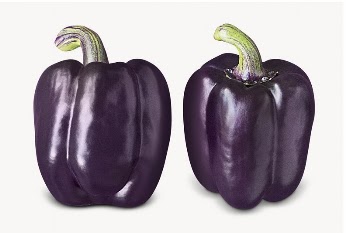 Purple bell peppers image, isolated | Free Photo - rawpixel