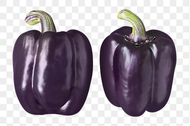 Purple bell peppers png sticker, | Free PNG - rawpixel