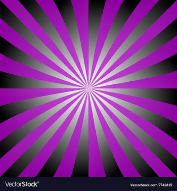 Purple black white ray burst design vector image