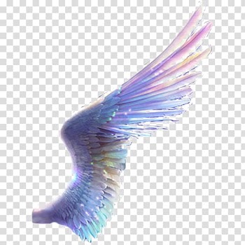 Purple, blue, and pink wing animated illustration, Paper Drawing, Colored wings transparent background PNG clipart