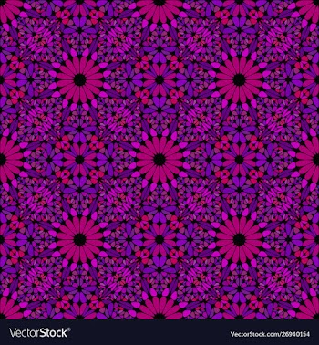 Purple bohemian abstract geometrical flower vector image
