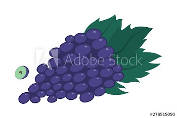 Purple bunch of grape