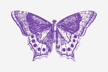 Purple butterfly drawing, vintage insect | Free Photo - rawpixel