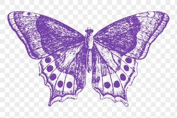Purple butterfly png sticker, vintage | Free PNG - rawpixel