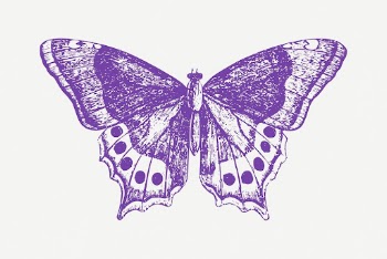 Purple butterfly sticker, vintage insect | Free PSD - rawpixel