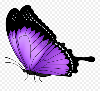 Purple Butterfly Transparent Png Clip Art Image Gallery - Violet ...