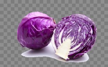 Purple Cabbage PNG Download Image