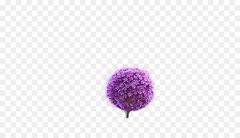 Purple Coppenrath publisher Pattern - Purple Dandelion 