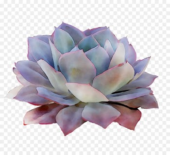 Purple Cut flowers -  