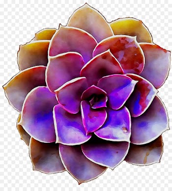 Purple Cut flowers -  