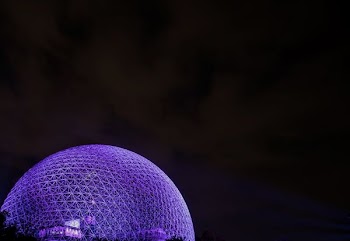 purple dome illustration